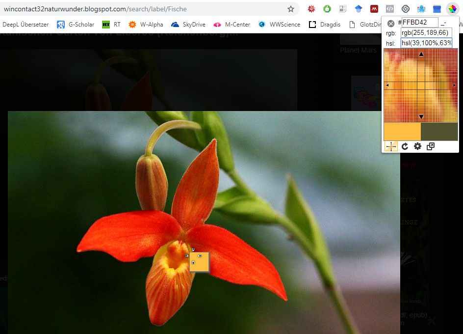 mit builderall 3.0 webseiten erstellen (nützliche Tools) mit builderall 3.0 webseiten erstellen (nützliche Tools)