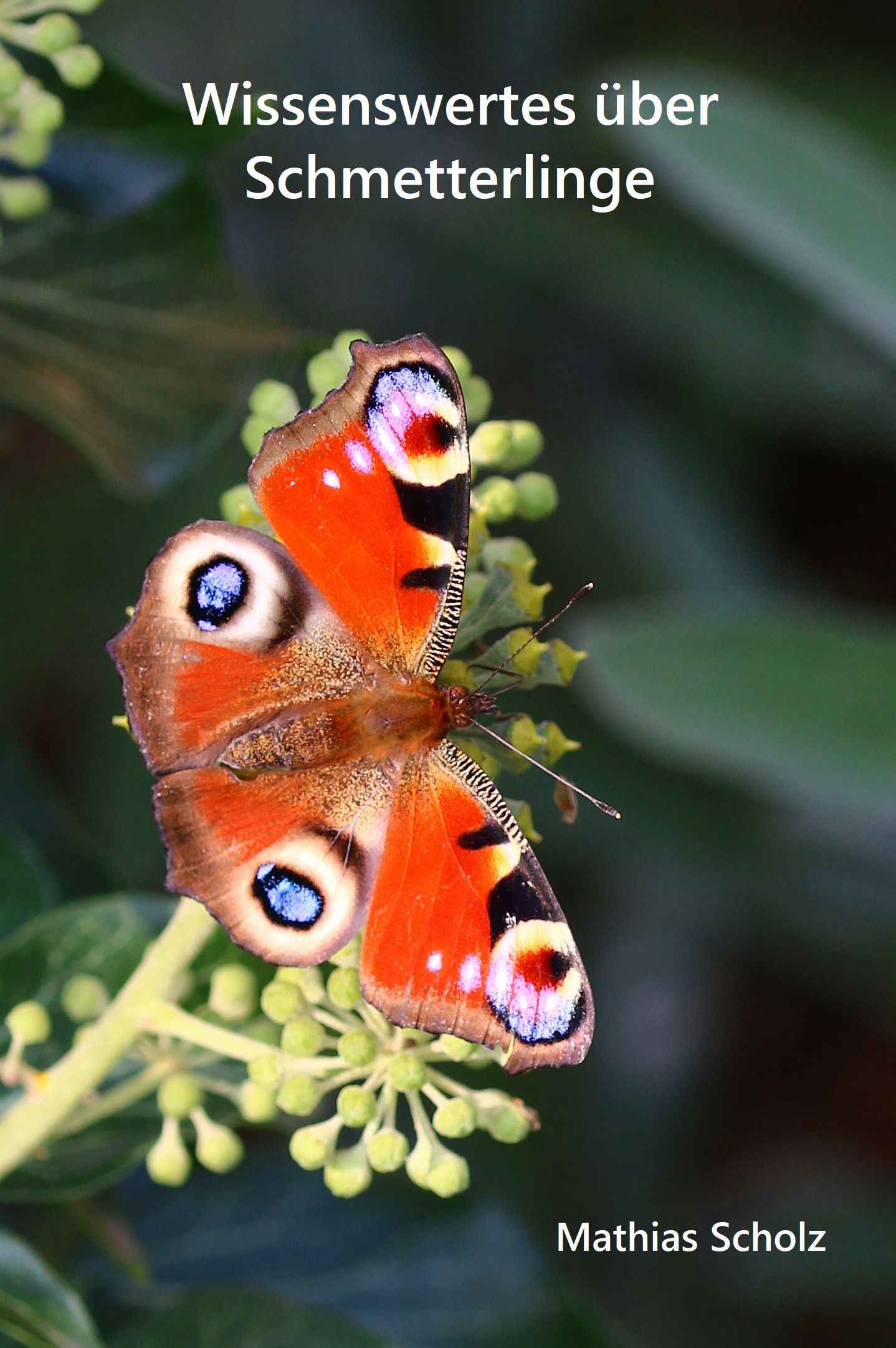 builderall 3, Online Marketing