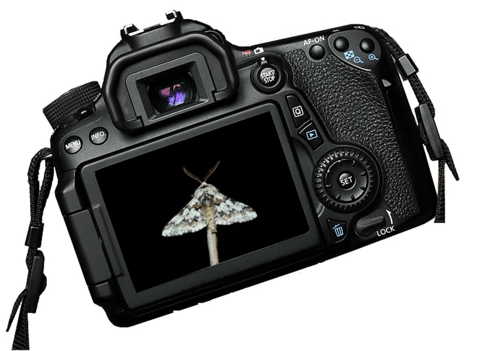 builderall 3.0, Online-Marketing